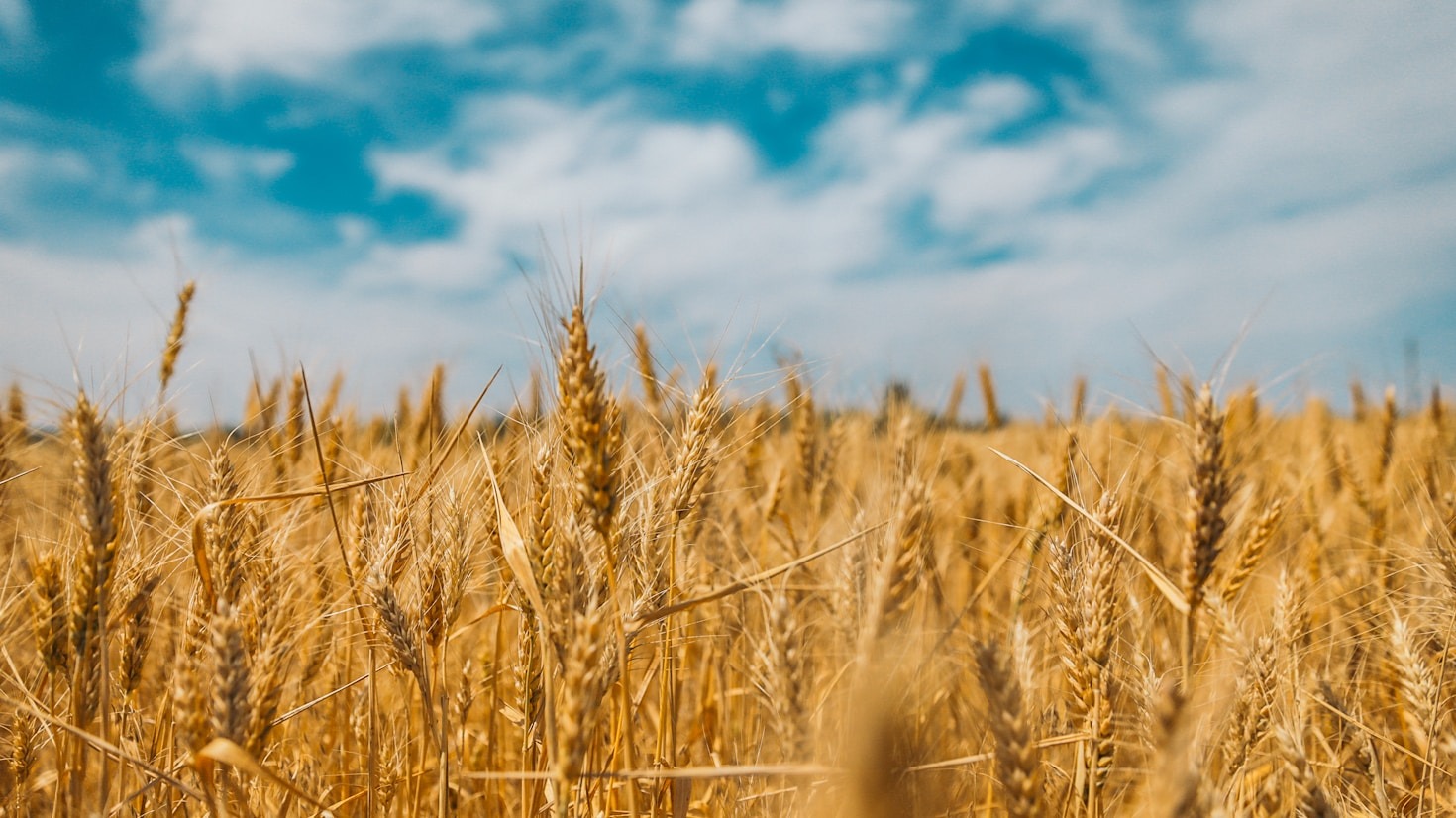Compromiso con el campo: nuestra labor diaria